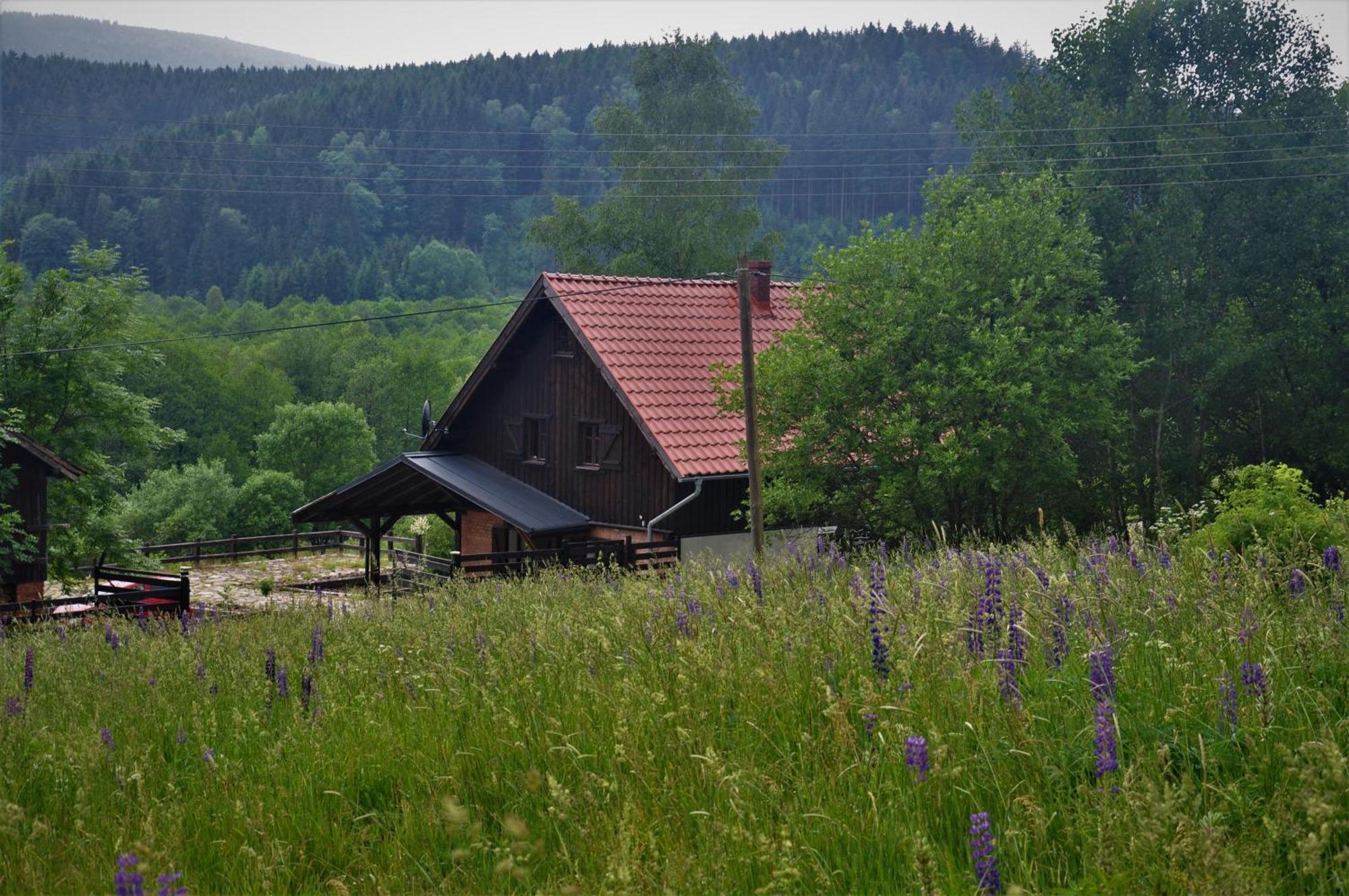 Chata Nad Dzika Orlica Z Jacuzzi Poniatow Kültér fotó